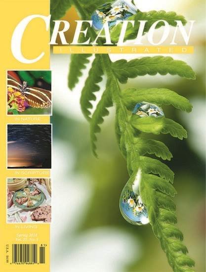 Creation Illustrated Magazine