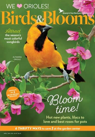 Birds &amp; Blooms Magazine