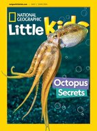 National Geographic Little Kids