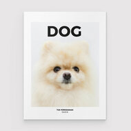 Dog Magazine