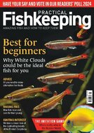 Practical Fishkeeping Magazine