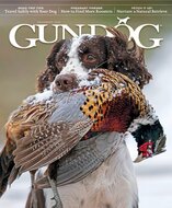 Gun Dog Magazine